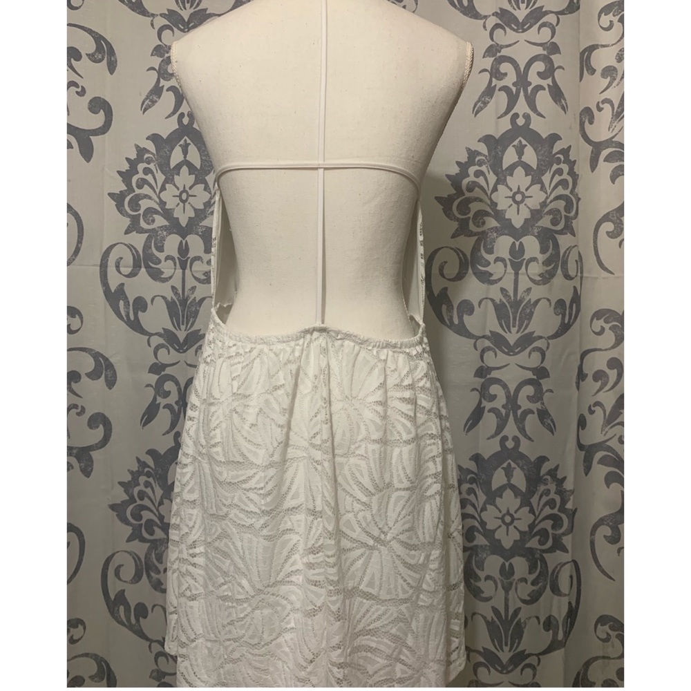 Express Lace Dress - Picture 2 of 2
